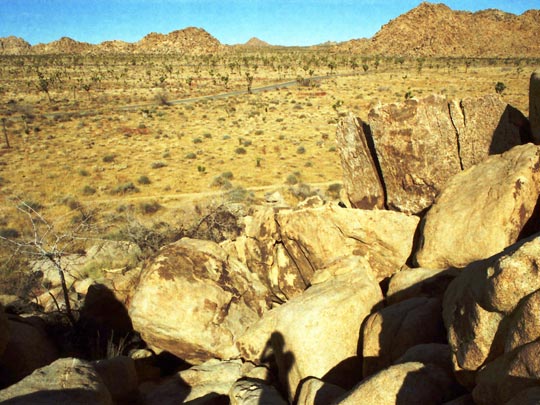  HANNA QUEVEDO _ autoretrato en joshua tree 