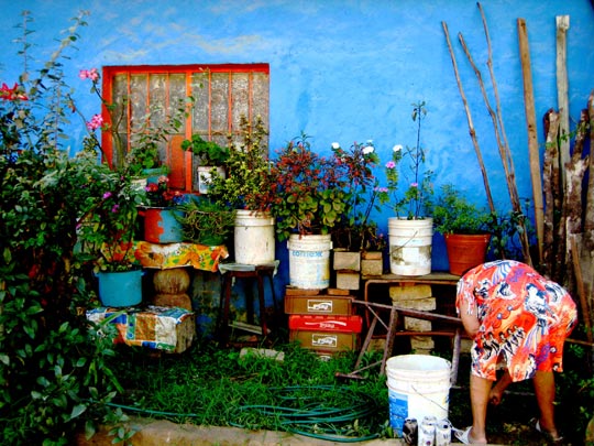  HANNA QUEVEDO _ cuidando sus cositas 