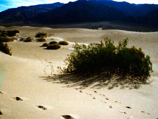  HANNA QUEVEDO _ death valley, ca. 