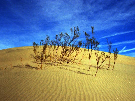  HANNA QUEVEDO _ death valley, ca 