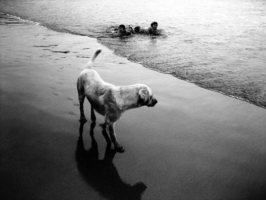  HANNA QUEVEDO _ diagonal playera 