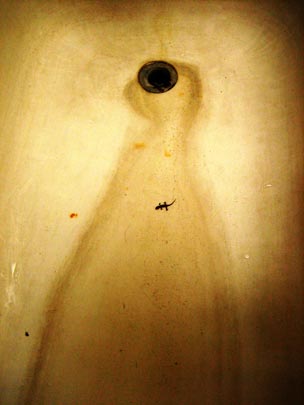  HANNA QUEVEDO _ en la ducha 