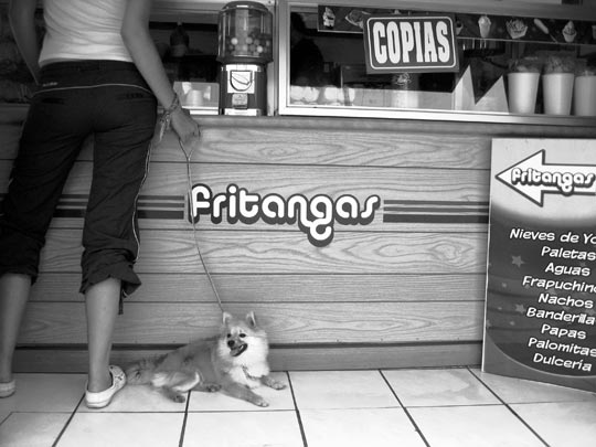  HANNA QUEVEDO _ fritangas 