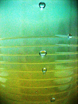  HANNA QUEVEDO _ gotas fin del camino 