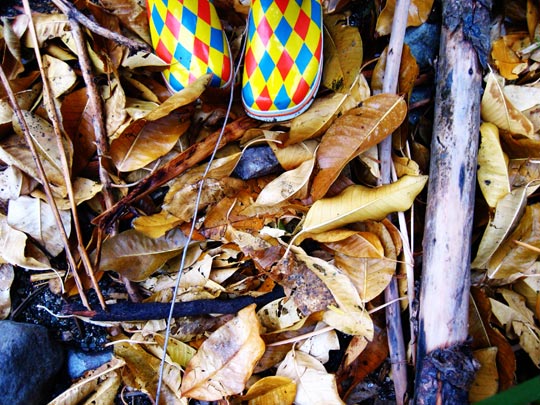  HANNA QUEVEDO _ otoño en verano 