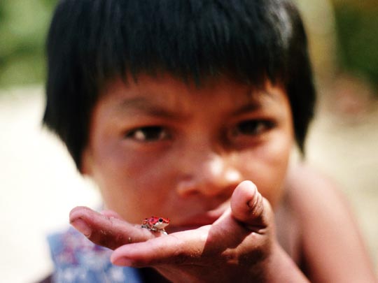  HANNA QUEVEDO _ red frog 