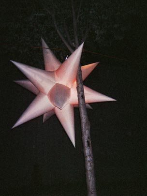  HANNA QUEVEDO _ the disposable experiment (and the magic tree star) 