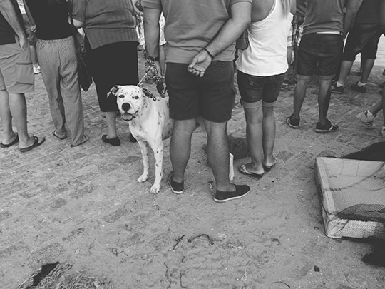  HANNA QUEVEDO _ virgen del carmen. barbate. julio 2014 