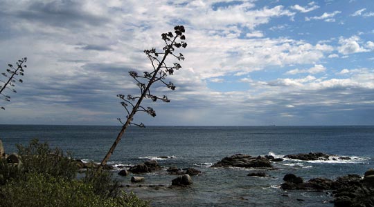  IOSU DE LA TORRE _ después de la tramontana 