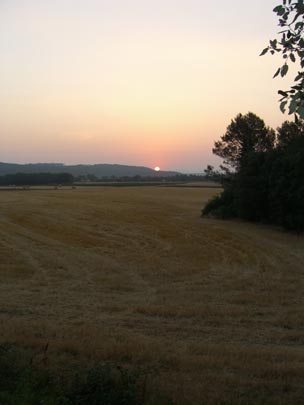  JORDI RÍOS _ campo 