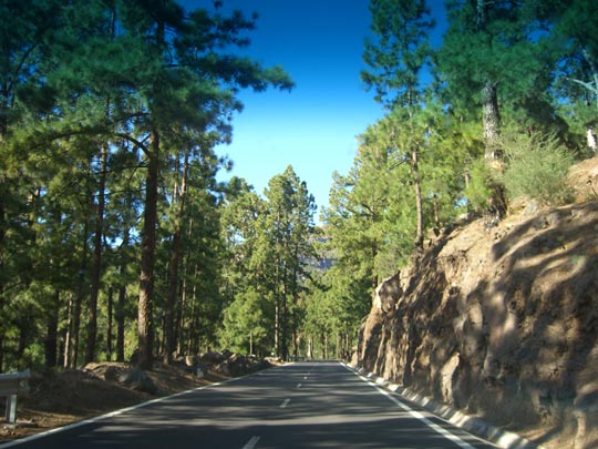  JORDI RÍOS _ carretera perdida 