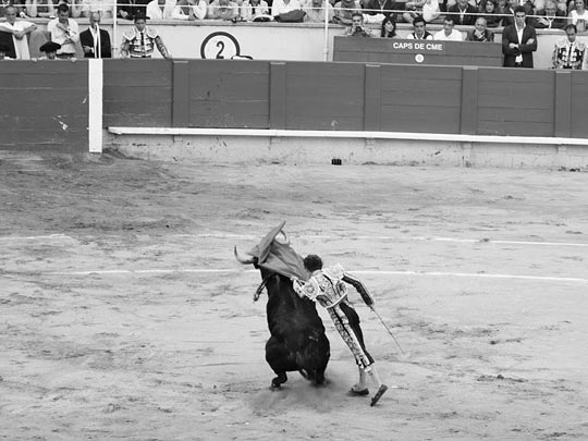  JAVIER MARTIN _ última tarde de toros en la monumental de barcelona 