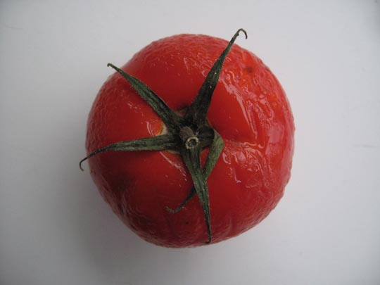  JON SISTIAGA _ a punto de ser devorado 