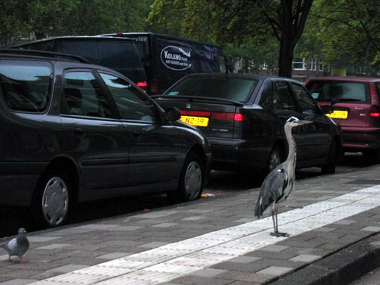  JON SISTIAGA _ another late night... 