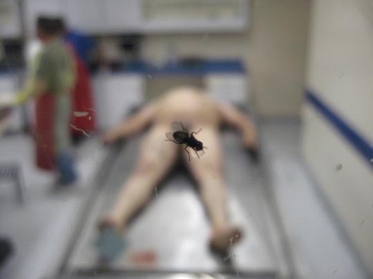  JON SISTIAGA _ balacera en tijuana (4). sicario narco y su última amiga 