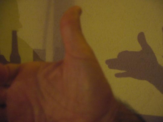  JON SISTIAGA _ mi mano, mi sombra, mi perro 