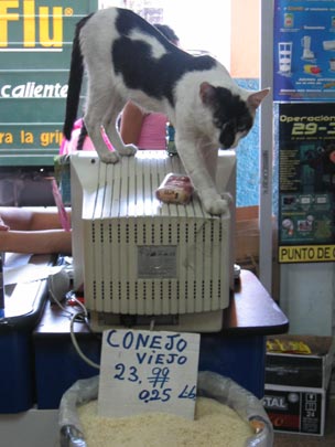  JON SISTIAGA _ para mikel urmeneta 