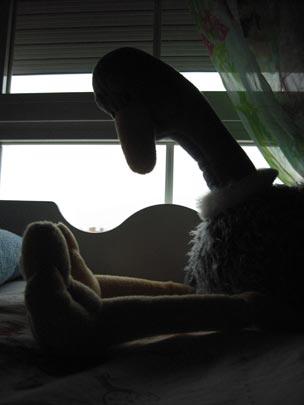  JON SISTIAGA _ pato mareado 