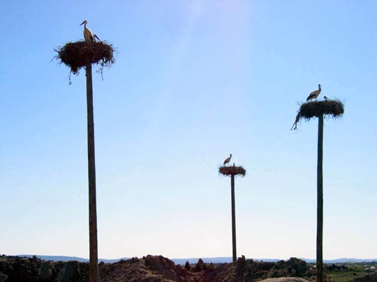  JON SISTIAGA _ vecindario 