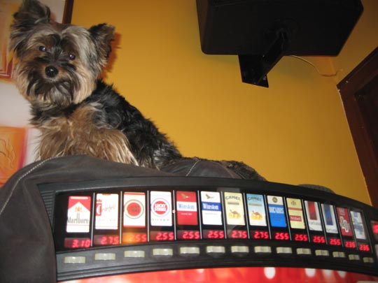  JON SISTIAGA _ vigilando fumadores 