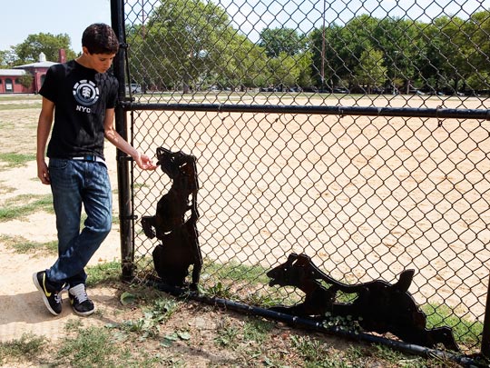  KOITZ _ feeding the dogs 