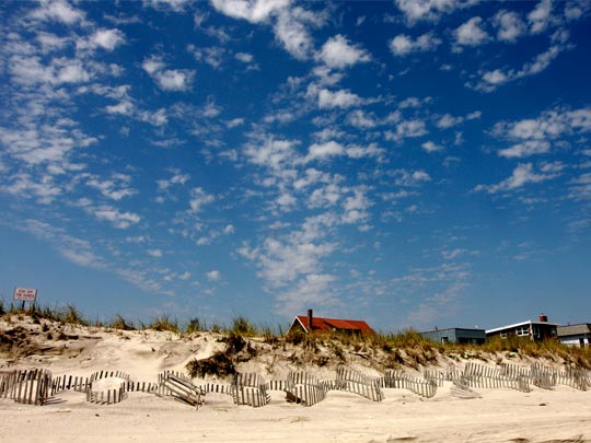  KOITZ _ fire island 