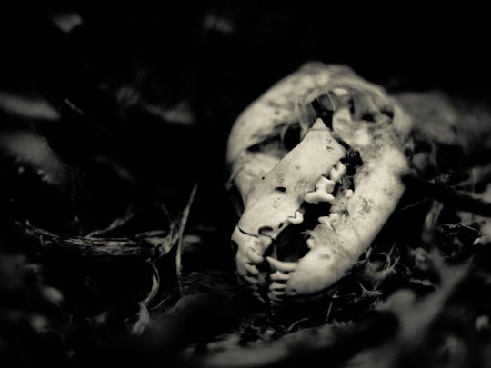  MARCELO AURELIO _ bosa, cerdeña 