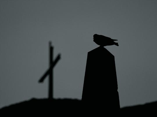  MARCELO AURELIO _ bosa, cerdeña 