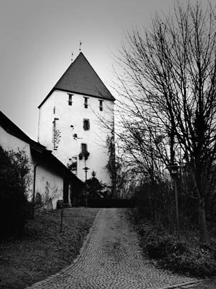  MARCELO AURELIO _ castillo (schloss) neuburg 