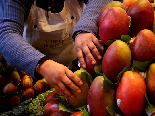  MARCELO AURELIO _ mercado (4) 