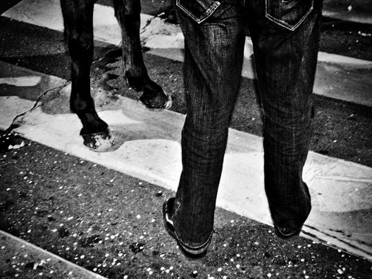  MARCELO AURELIO _ patas, barcelona 