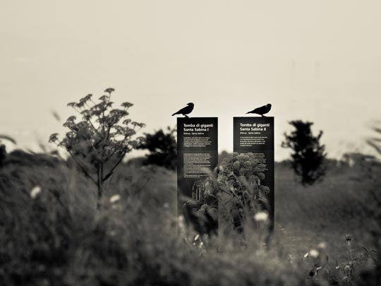  MARCELO AURELIO _ tomba di giganti sta.sabina, cerdeña 