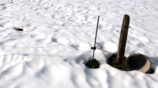  MIA FONT _ ¿nieve virgen? 