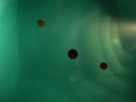  MIKEL URMENETA _ 2001 