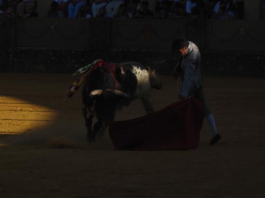  MIKEL URMENETA _ armani 