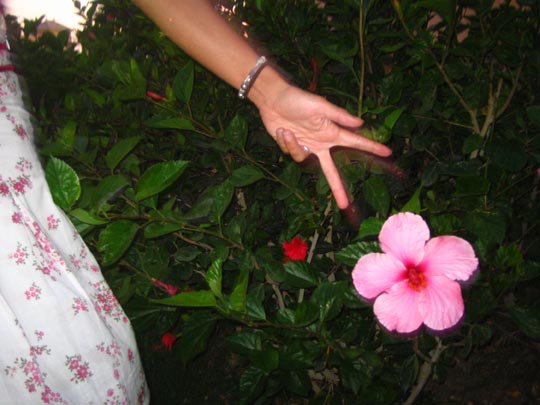  MIKEL URMENETA _ ¡ay! 