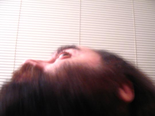  MIKEL URMENETA _ bestia 