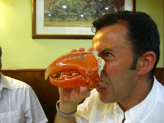  MIKEL URMENETA _ buitre juanlu 