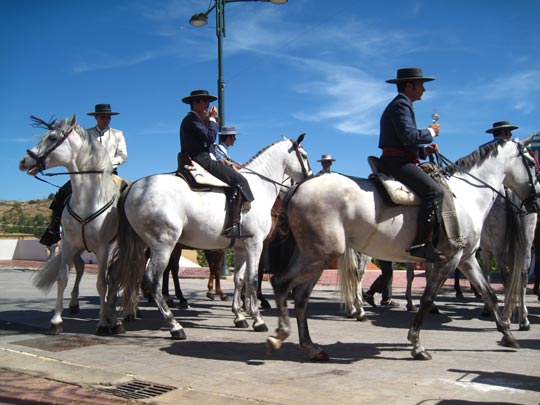  MIKEL URMENETA _ caballos y cielo 