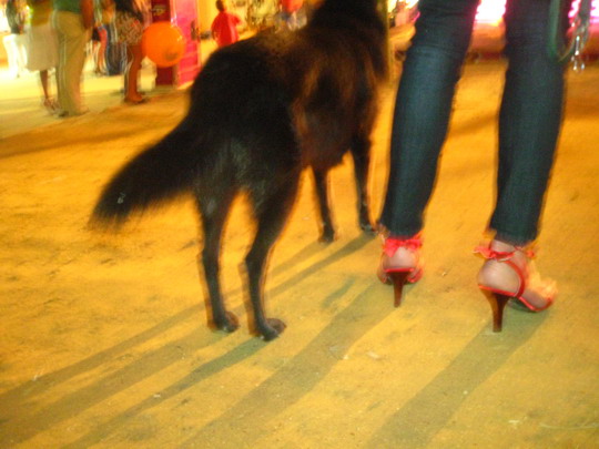  MIKEL URMENETA _ caperucita y el lobo 