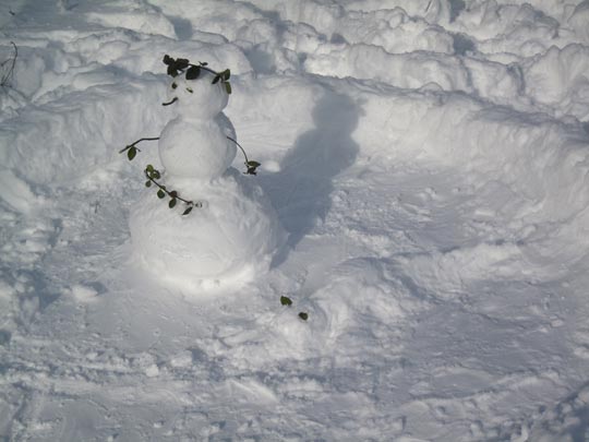  MIKEL URMENETA _ césar 