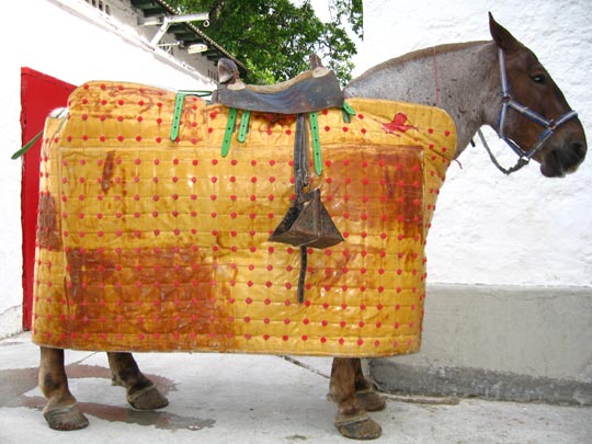  MIKEL URMENETA _ cómplices involuntarios 1 