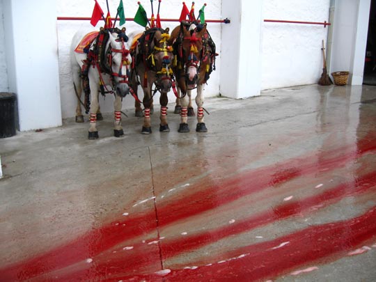  MIKEL URMENETA _ cómplices involuntarios 2 