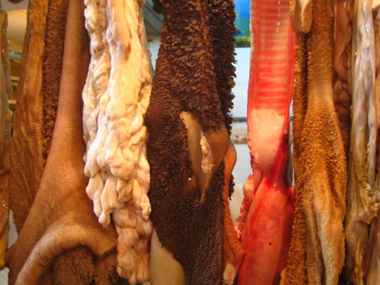  MIKEL URMENETA _ cortinas (1) 