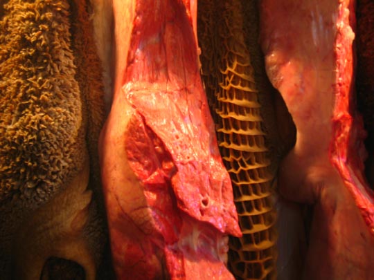  MIKEL URMENETA _ cortinas (2) 