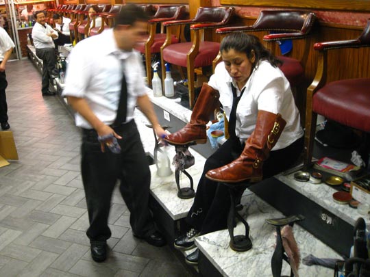  MIKEL URMENETA _ cuadrúpeda 