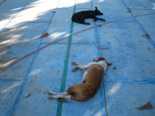  MIKEL URMENETA _ duelo 