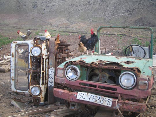  MIKEL URMENETA _ emporio gallina 