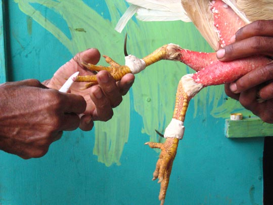  MIKEL URMENETA _ ésto pinta mal 