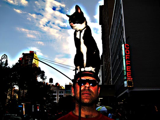  MIKEL URMENETA _ gato y photoshop 